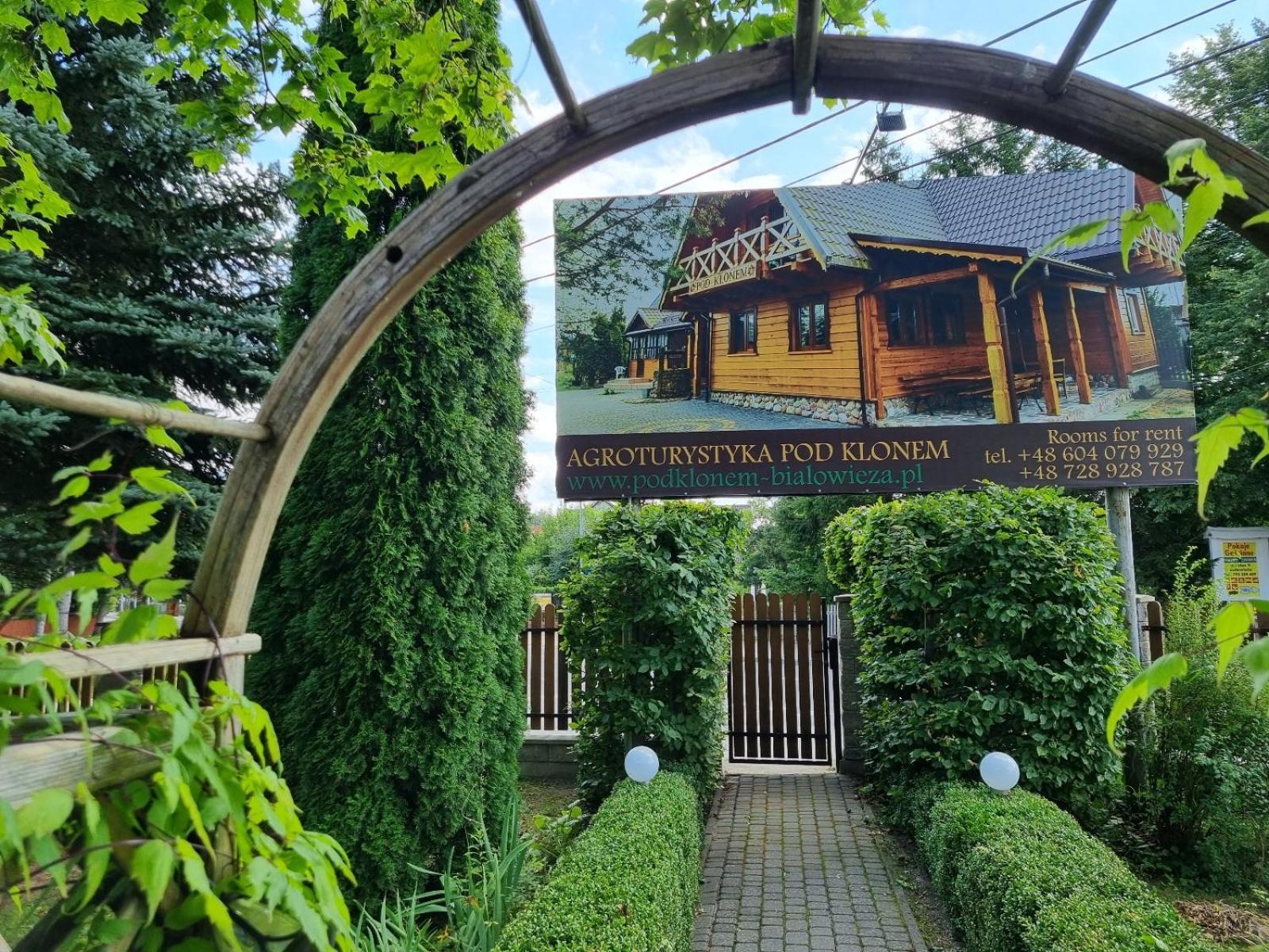 Domek Pod Klonem Agroturystyka Białowieża エクステリア 写真